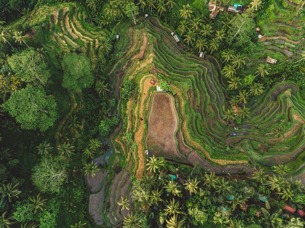 Où trouver des retraites de yoga et méditation en Bali, Indonésie?