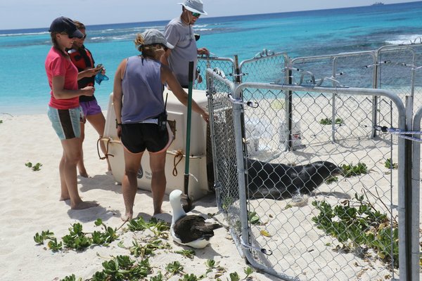 Où séjourner pour découvrir la vie marine en Australie avec des excursions de plongée et des cours de biologie marine?